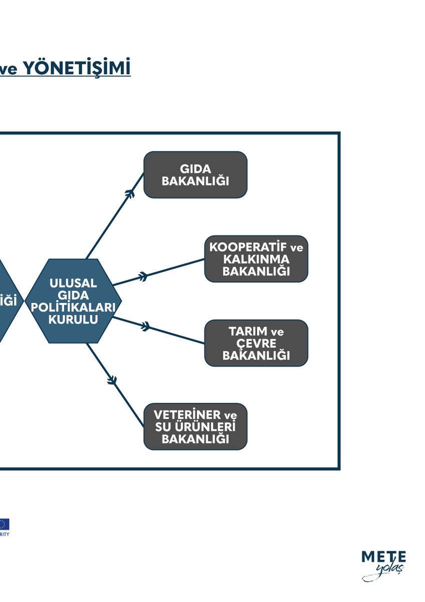 Mete Yolaş tweet media