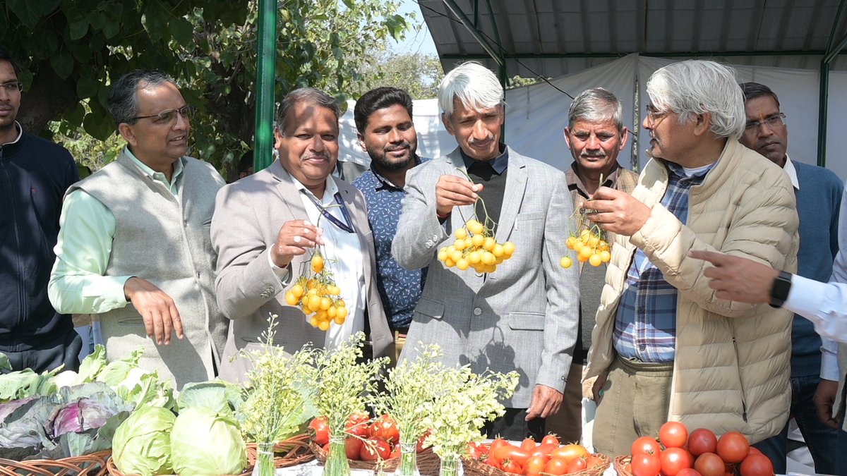 PusaKrishi's tweet photo. Winter Vegetables Field Day was successfully organized by the Division of Vegetable Science & ZTM & BPD Unit on 17 February 2026 at the Unit of Vegetable Research & Demonstration, ICAR-IARI.
#WinterVegetables #FieldDay
#VegetableScience #TechnologyTransfer #FarmersFirst https://t.co/cgK6Rh68z9