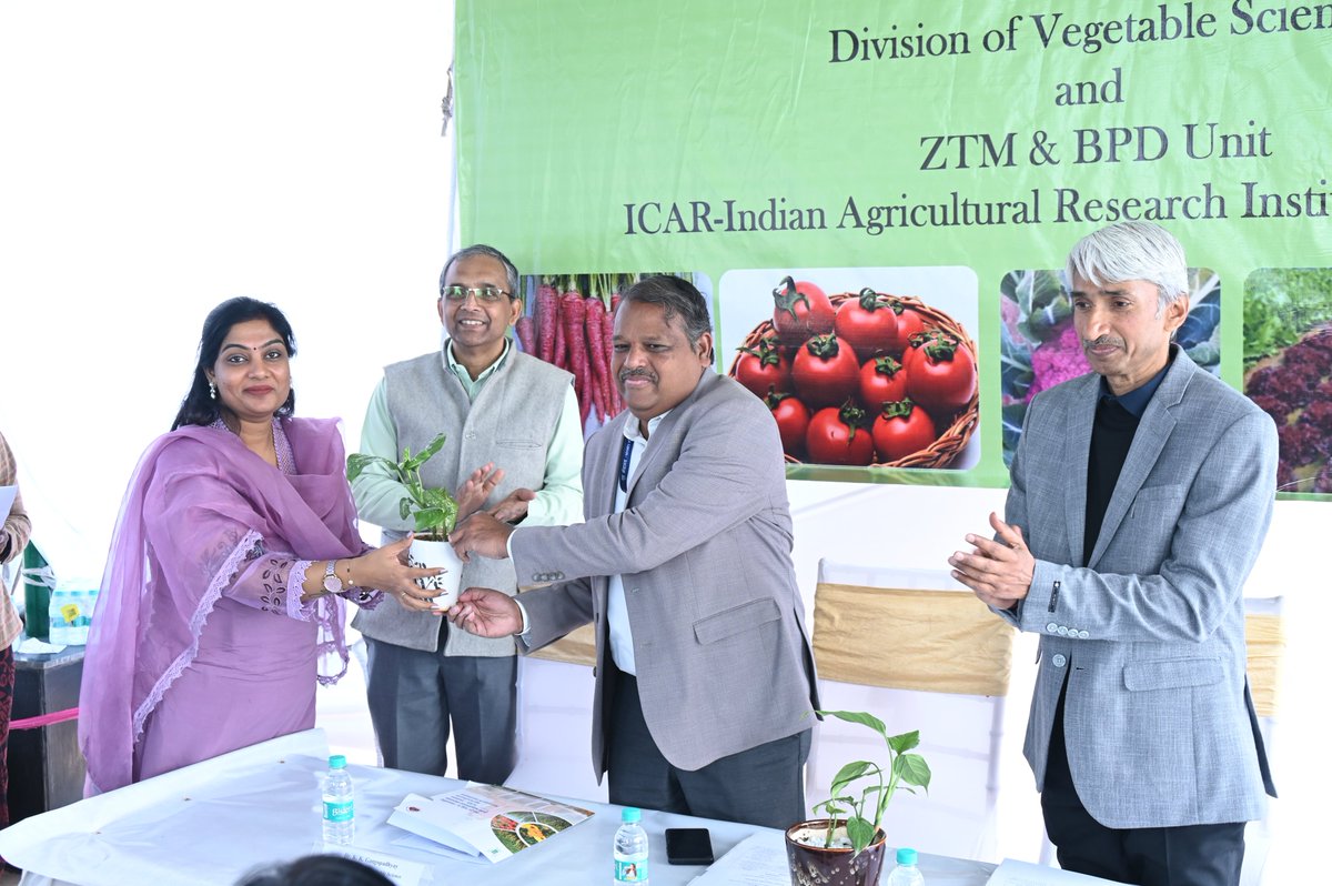 PusaKrishi's tweet photo. Winter Vegetables Field Day was successfully organized by the Division of Vegetable Science & ZTM & BPD Unit on 17 February 2026 at the Unit of Vegetable Research & Demonstration, ICAR-IARI.
#WinterVegetables #FieldDay
#VegetableScience #TechnologyTransfer #FarmersFirst https://t.co/cgK6Rh68z9