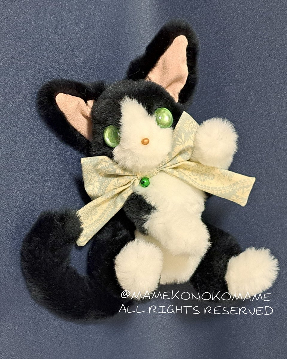 まめこ (@Mamekonokomame) / Posts / X