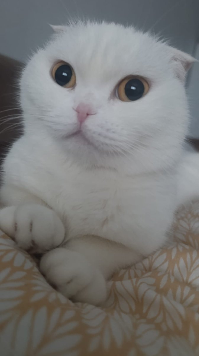 Prensesin günüymüş🥳🥳