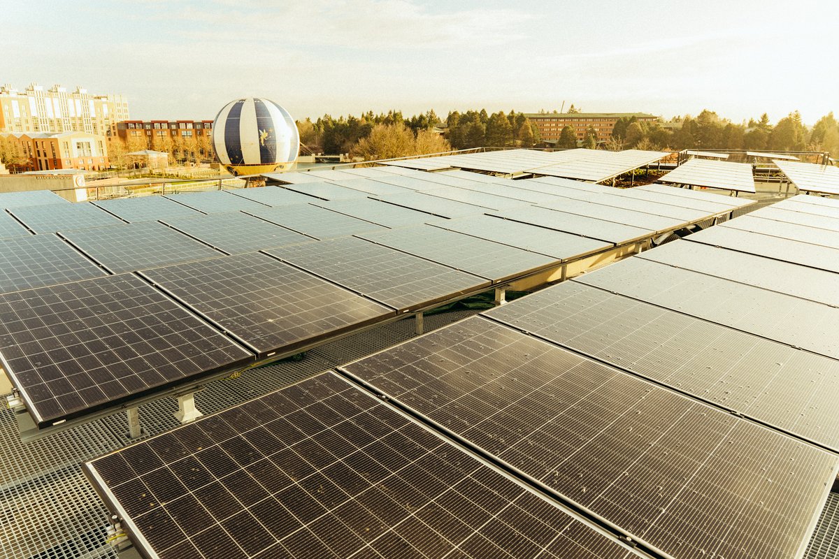 Disneyland Paris News tweet media