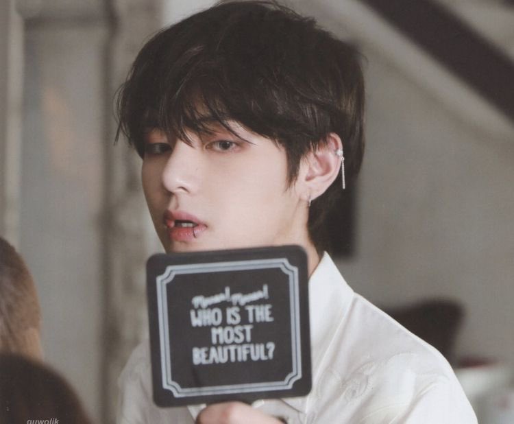 who is the most beautiful ?
: