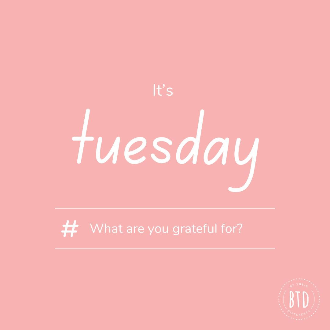 Erin Mengeu tweet media