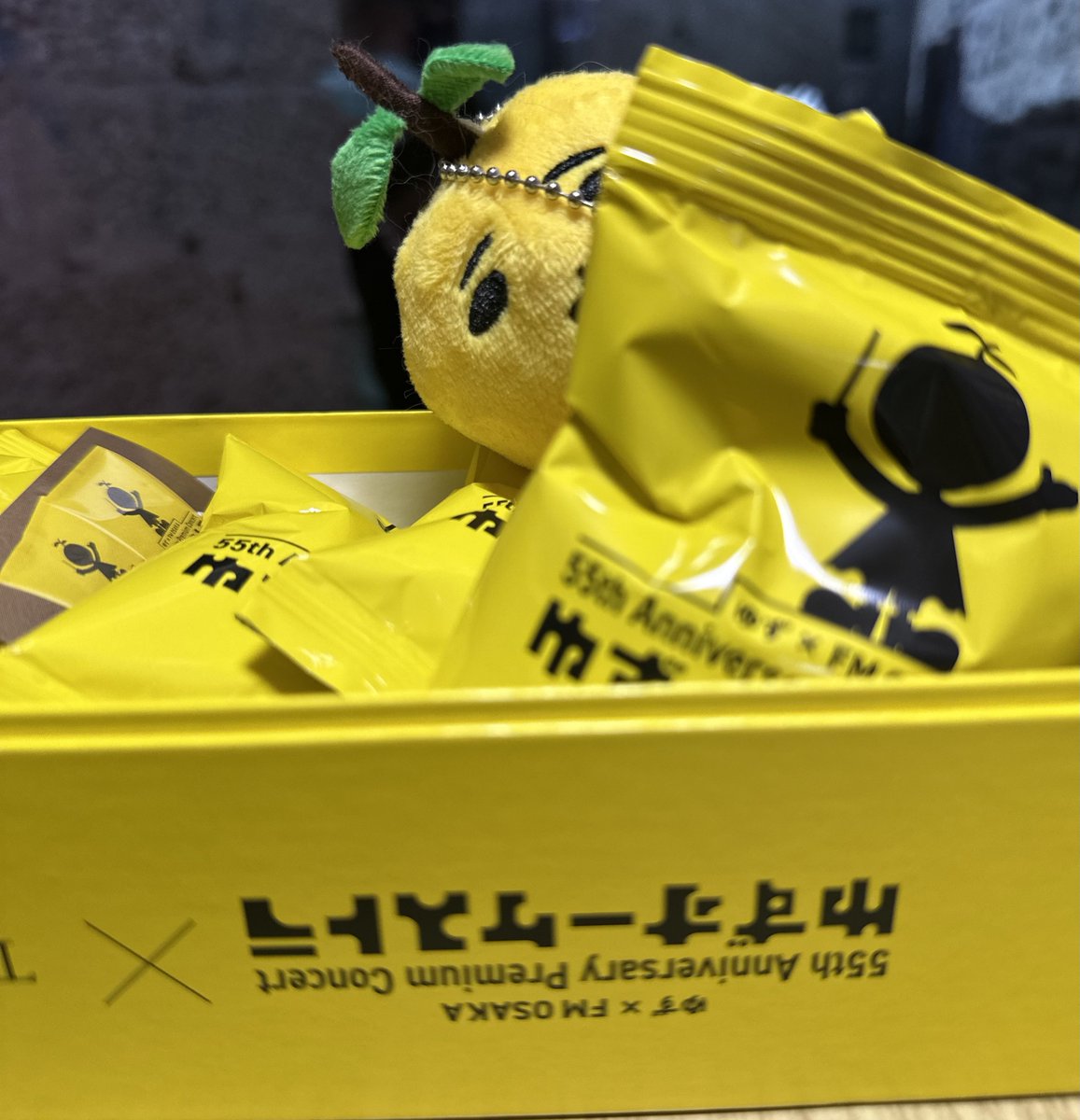 おやすみにゃさい🐱💤