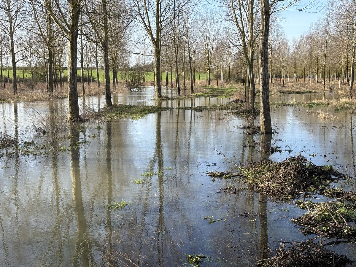 Glen Moore tweet media