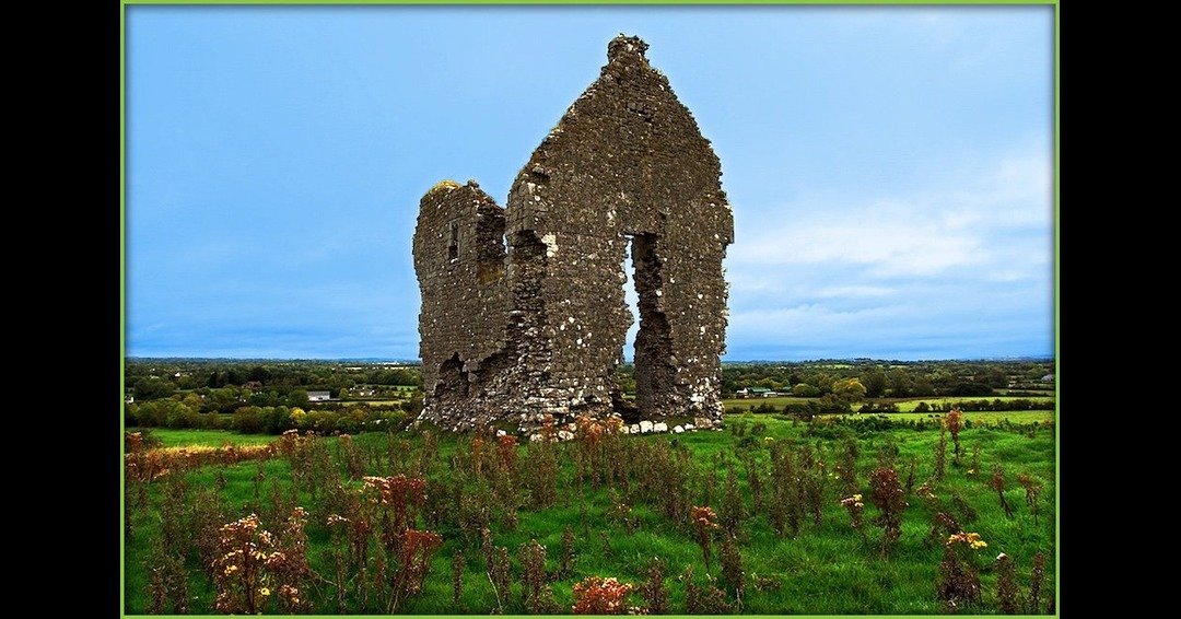 Limerick Museum tweet media