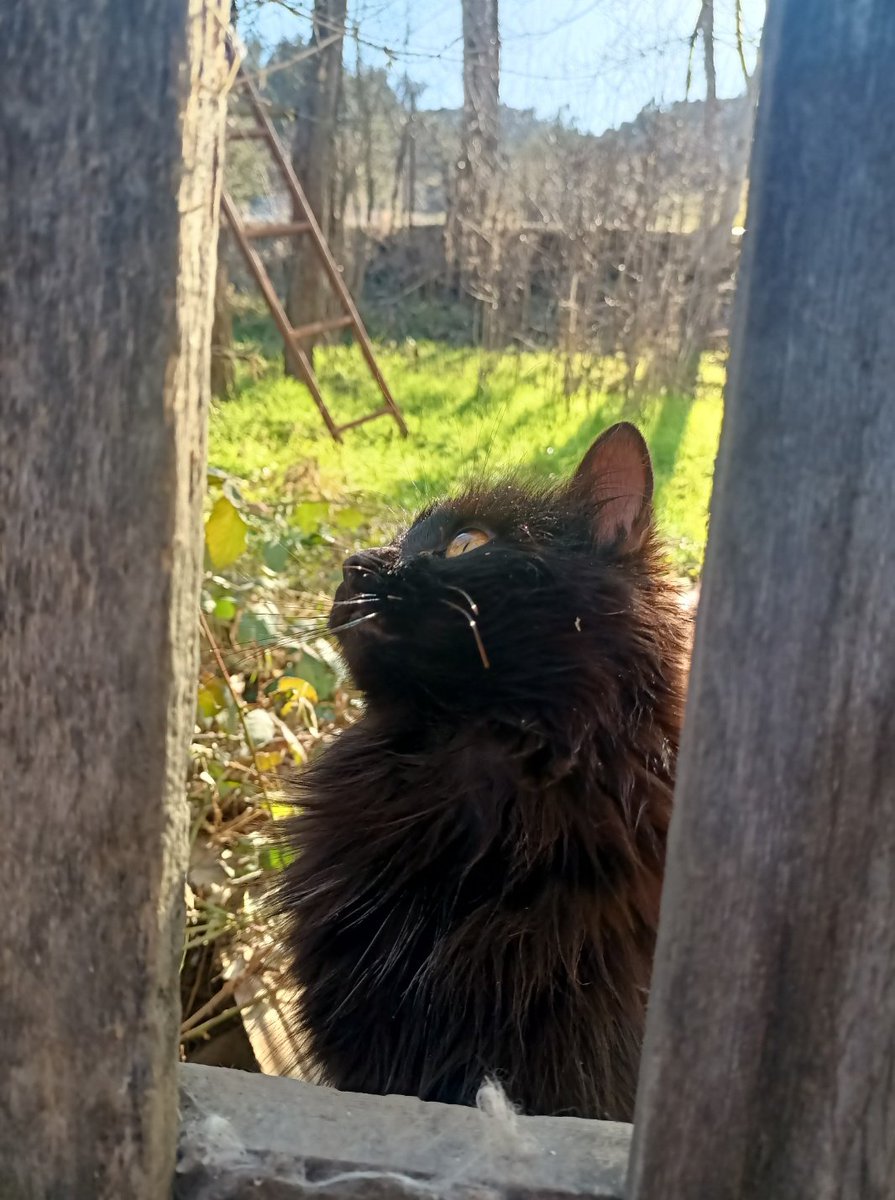 galerimde kendi fotoğrafımdan çok sizin olmanızı seviyoru