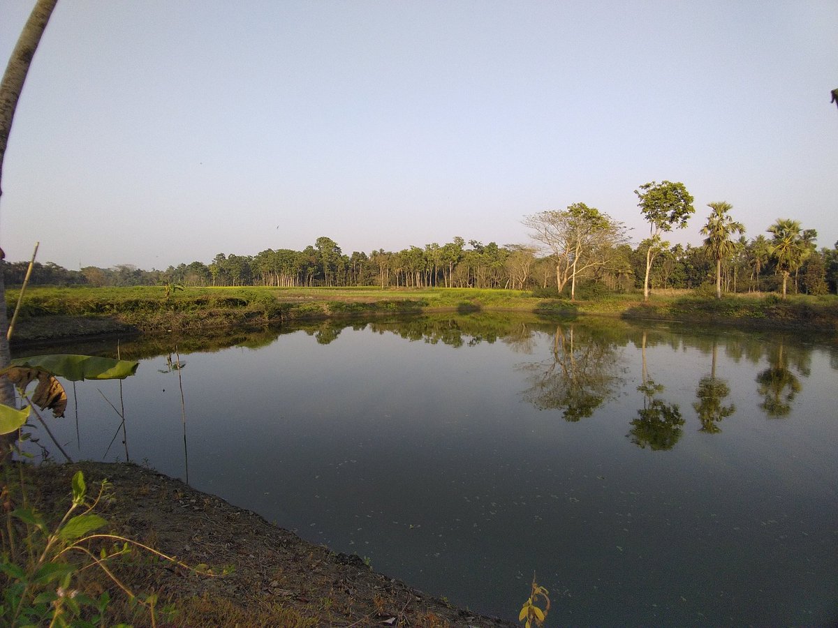 The truth is that life is delicious , horrible , charming , frightful , sweet , bitter , and that it is everything . 
- Anatole France