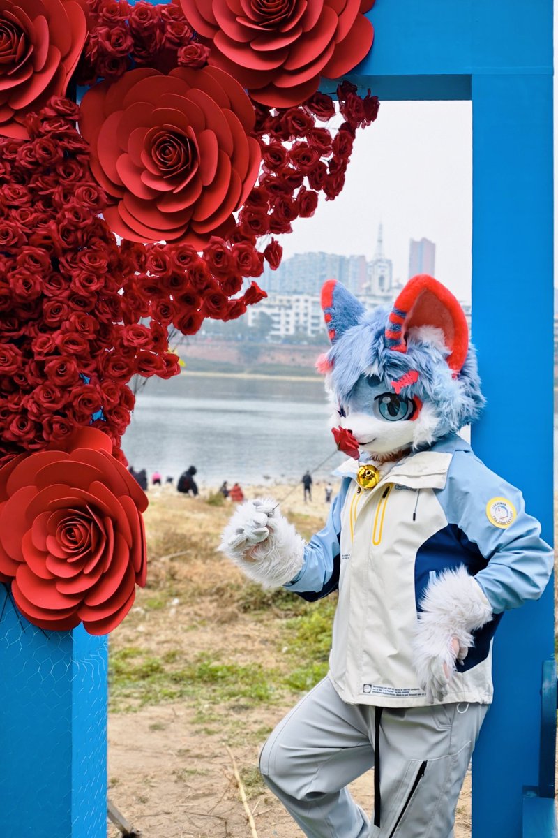 Neoncloud·霓雲🔜提桶跑路😋 tweet media