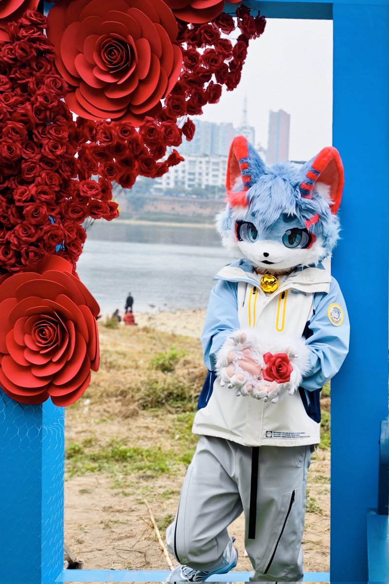 Neoncloud·霓雲🔜提桶跑路😋 tweet media