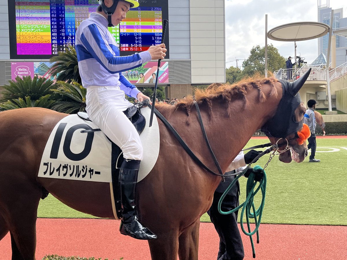 blackstar26er's tweet photo. 小倉競馬場R8.2.15
2Rブレイブソルジャー https://t.co/Bftb6rtfF2