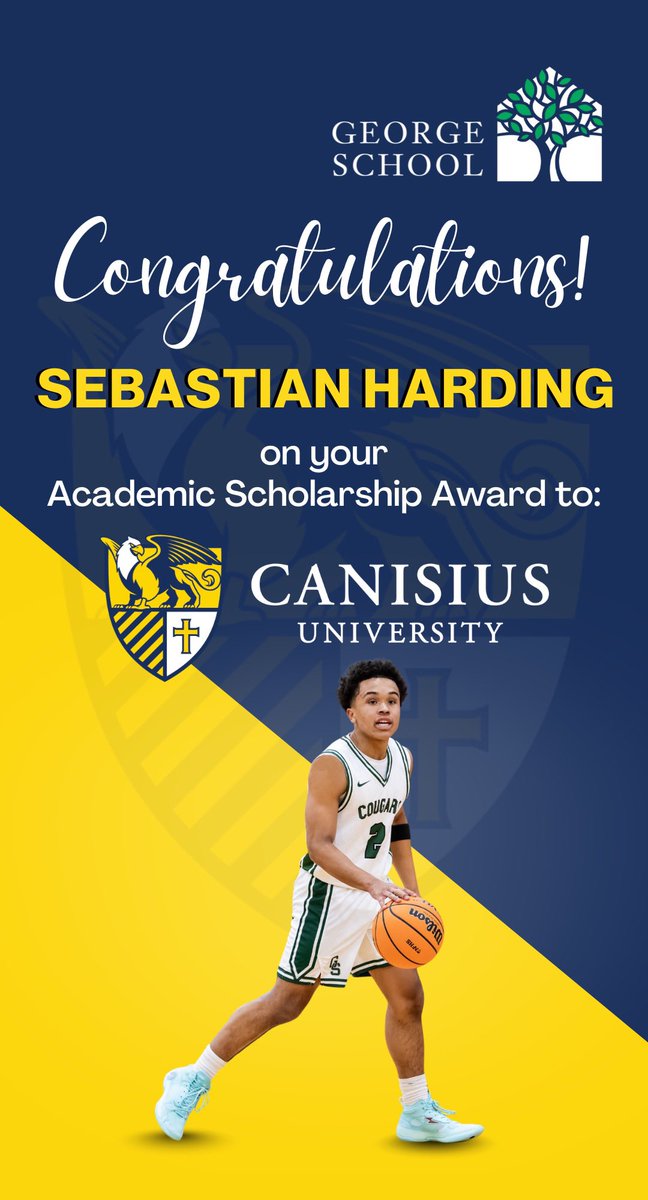 Sebastian Harding tweet media