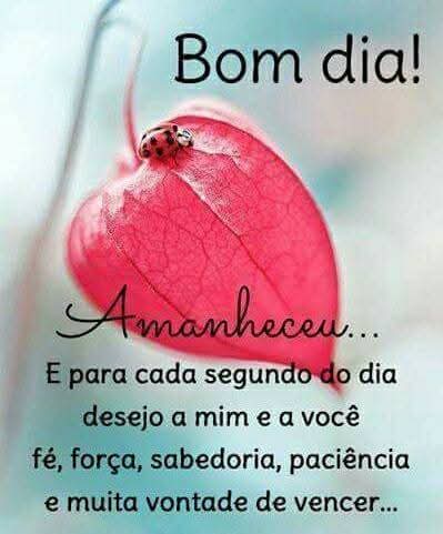 MBartolomasi's tweet photo. https://t.co/jK4ZlauXcA