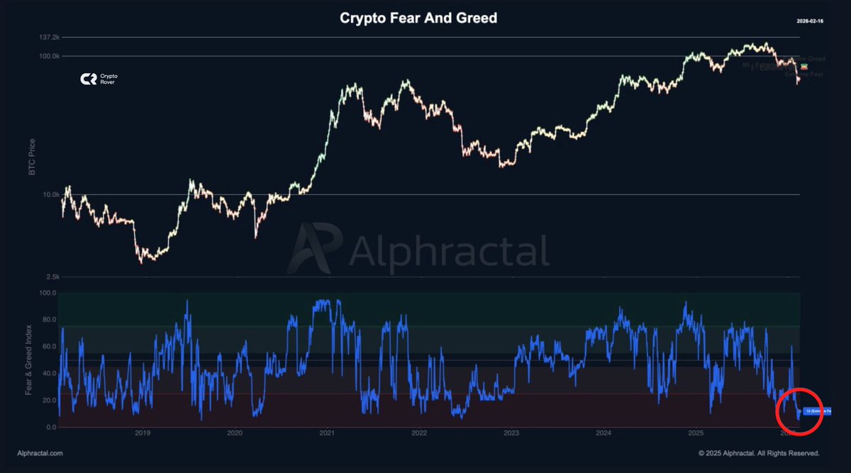 Crypto Rover tweet media