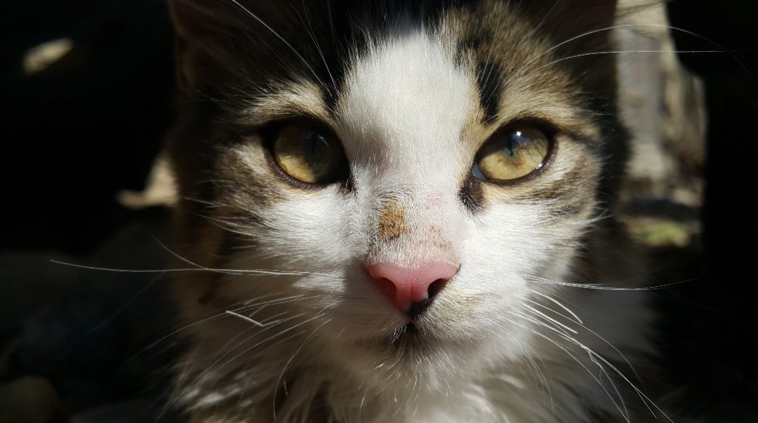 Fadiko (@fadikleterapi) on Twitter photo 