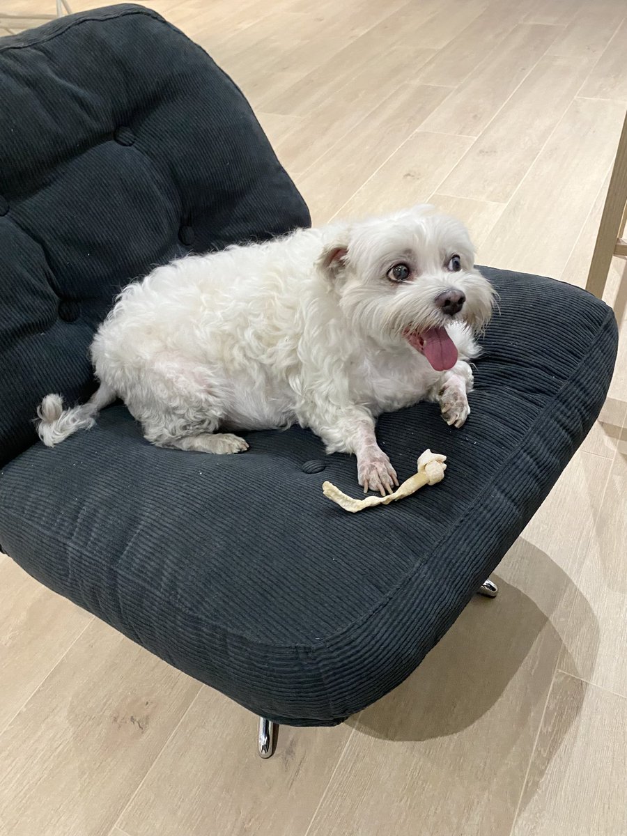 อารมณ์ดีมาก 

กินข้าวเสร็จ มานอนตากแอร์ฟังเปียโน

เด็กดีไม่เคยขาดเรียน