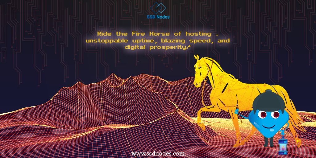 SSD Nodes tweet media