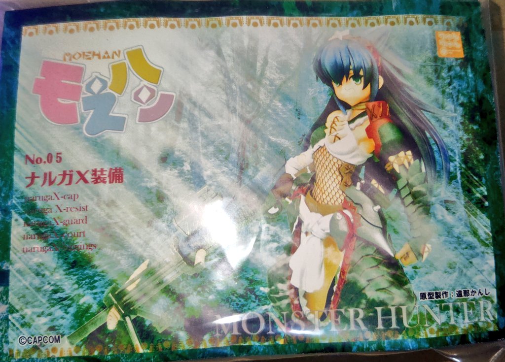 モえハン ナルガX装備