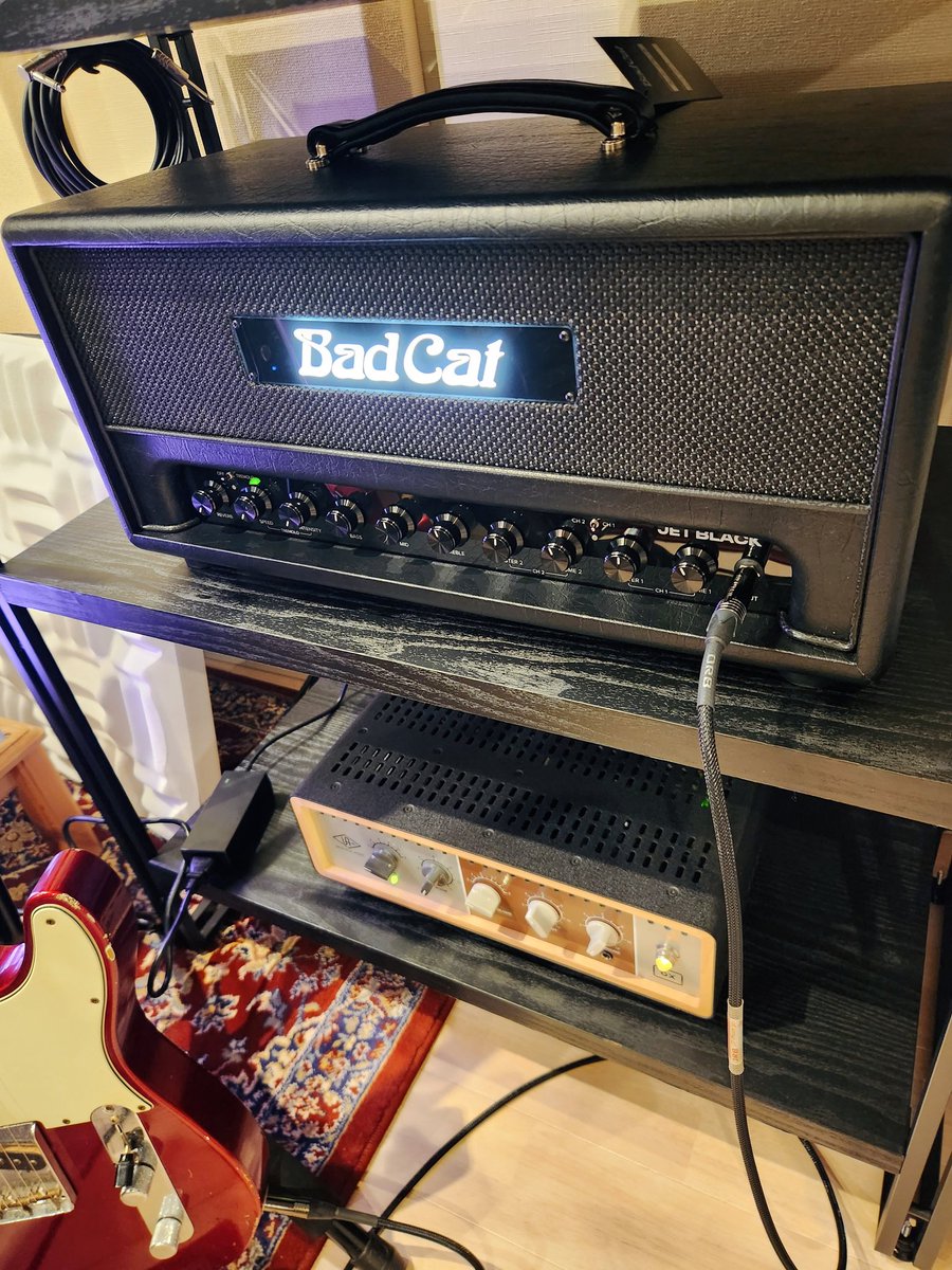 Natsuki_82's tweet photo. 最近ギターのアンプ買いました

猫です🐈️
電源入れるとロゴが光ります！ https://t.co/B0IIfKNdl4