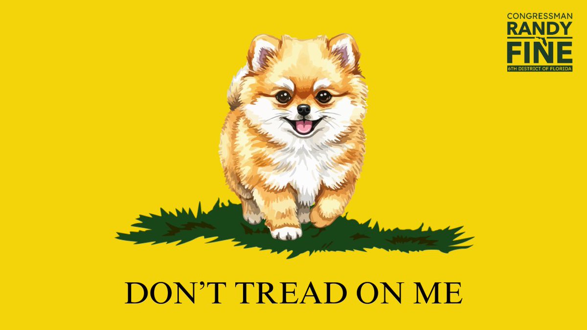 RepFine's tweet image. At least I know where the equator is.