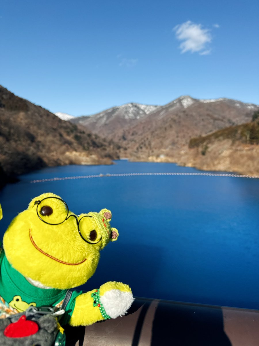 パール tweet media