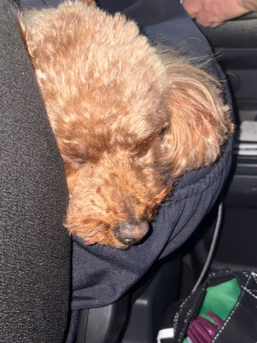 💬 › +CHAT — 17.02.26

➜ Mai vous a envoyé un nouveau message 

⊹ #마이 #MAI #TOMIOKAMAI #冨岡まい #IZNA #이즈나