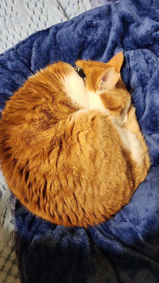 この時間は静かーーー