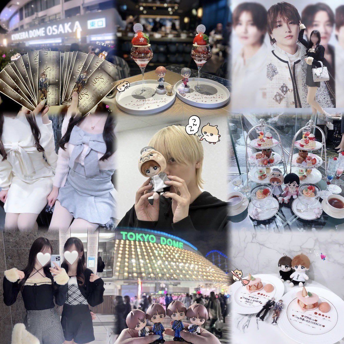 4️⃣՞･·̫･՞🐾 tweet media