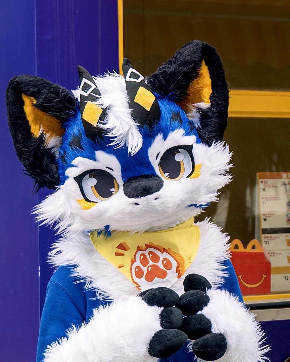 澜泷LanLawn tweet media