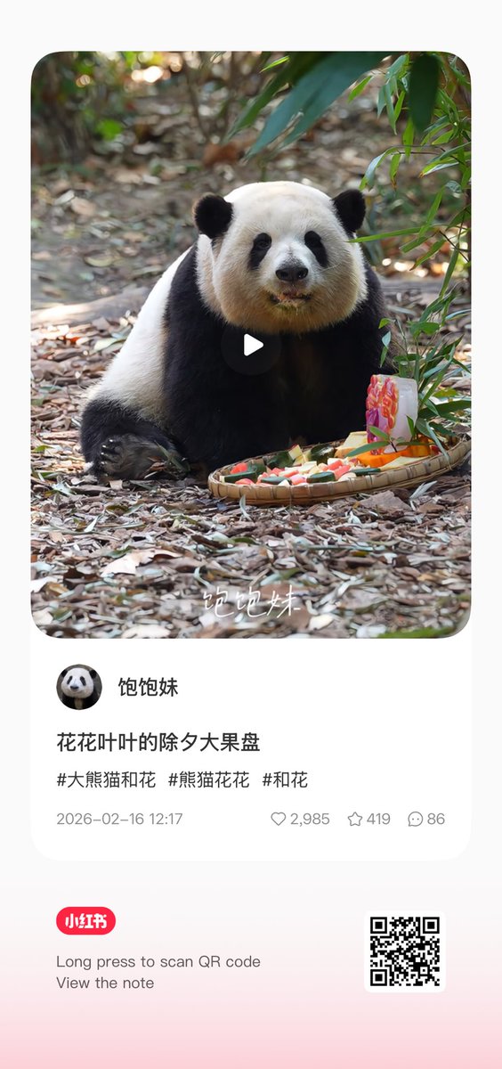 ちーじー🐼🌼 (@mutasokj) / Posts / X