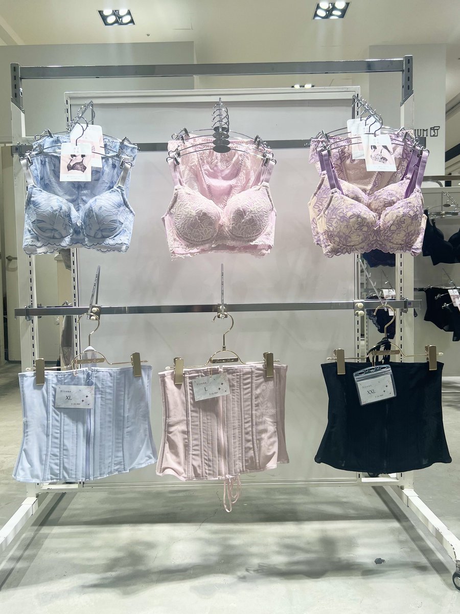 Enchanted Corset (@CorsetEnchanted) / Posts / X