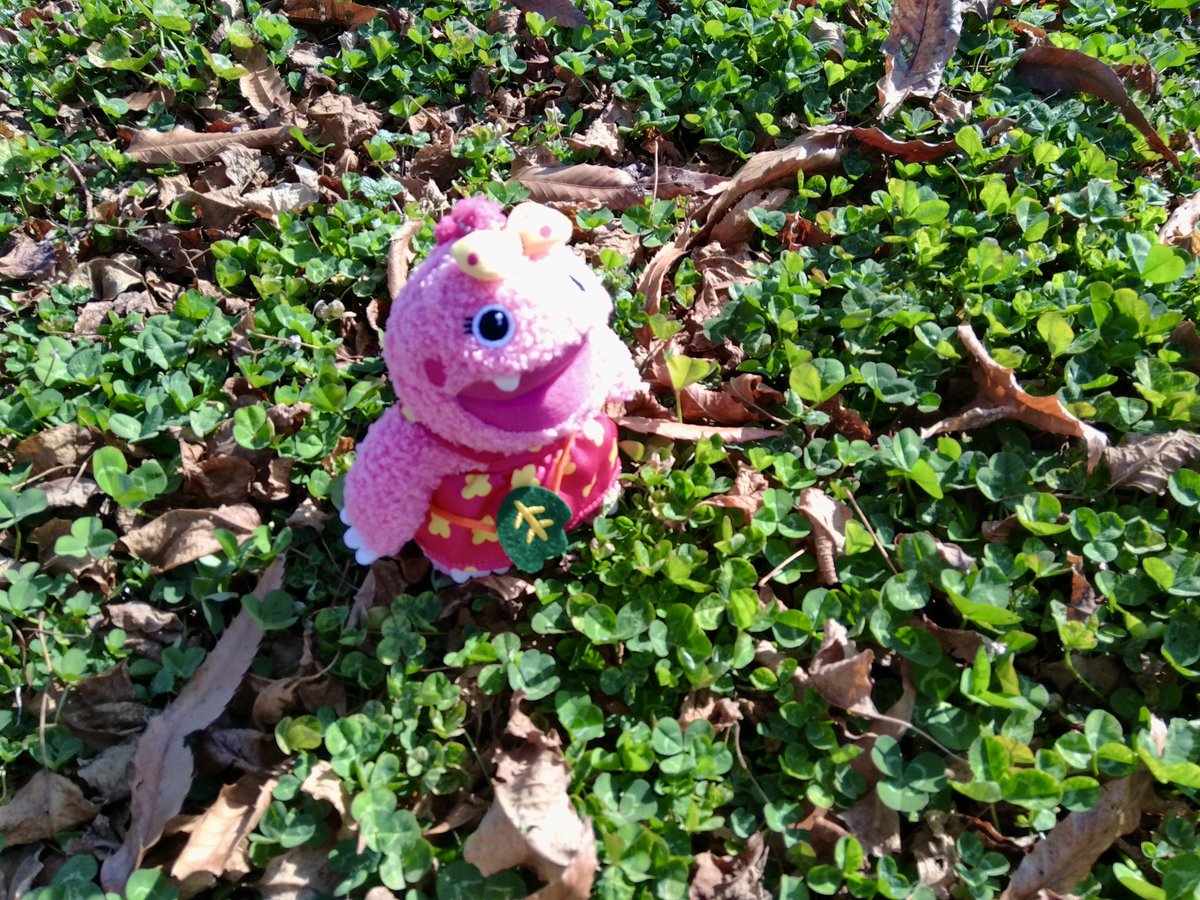 HITOMIN (@Notitle_77) / Posts / X