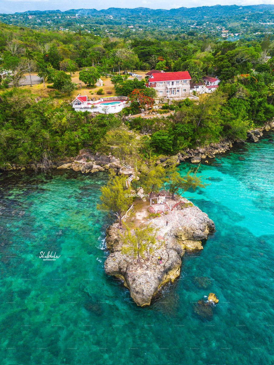 sheldonlev's tweet image. Saint Mary , Jamaica