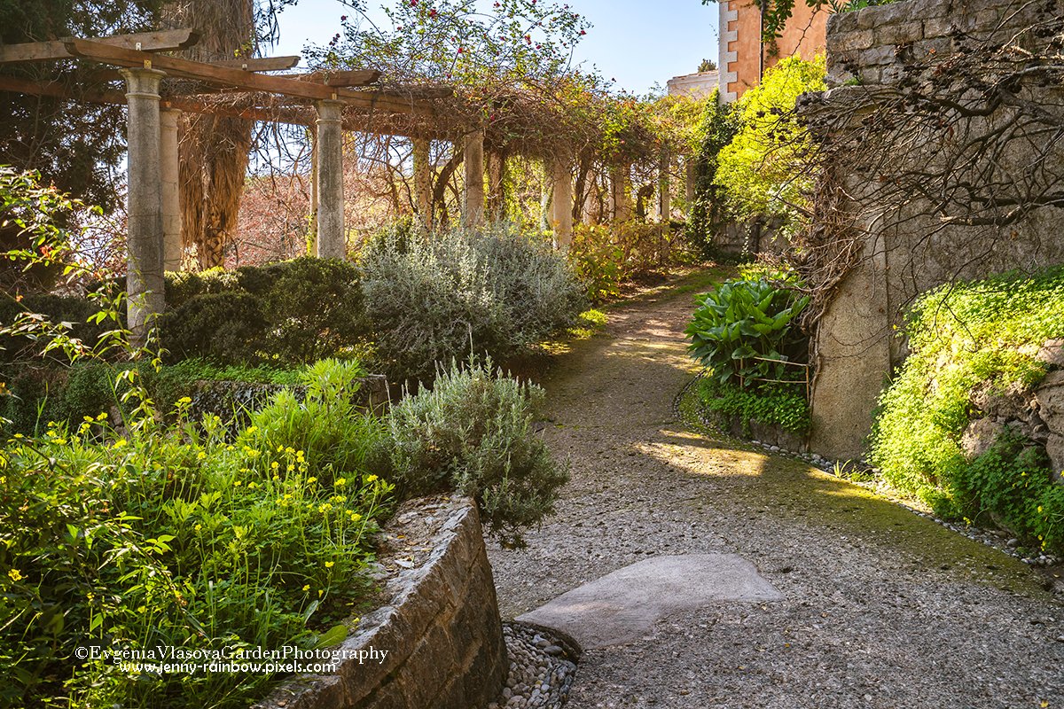 Hanbury Botanical Gardens - Grandi Giardini Italiani.
Florentine pergola at the walls of Palazzo Orengo within The Hanbury Botanical Garden.
Available as a fine art print, a timeless piece to bring Mediterranean elegance and tranquility into your space:
jenny-rainbow.pixels.com/featured/hanbu…