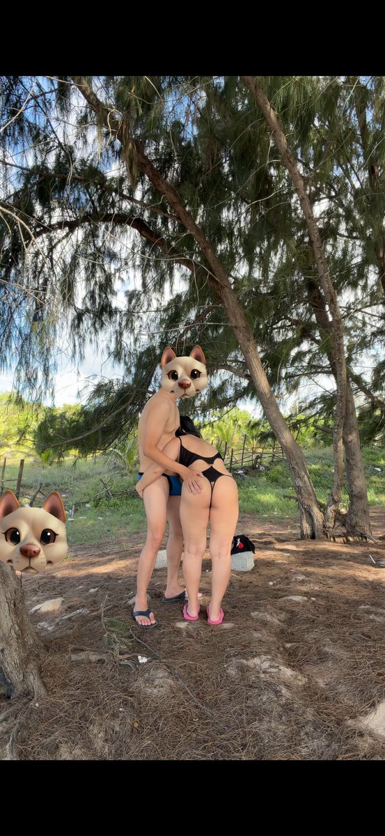 eclipse1207 tweet media