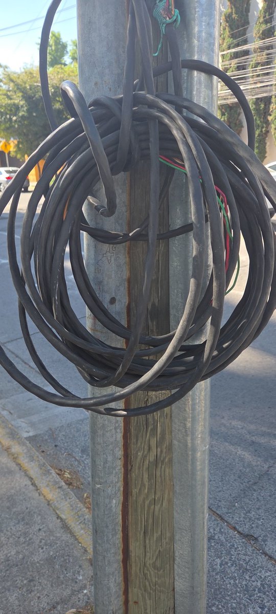 ColomosProvi tweet media