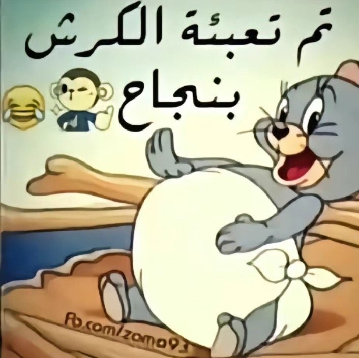 TU HANODY 🐦‍🔥| #هنودي_4مليون tweet media