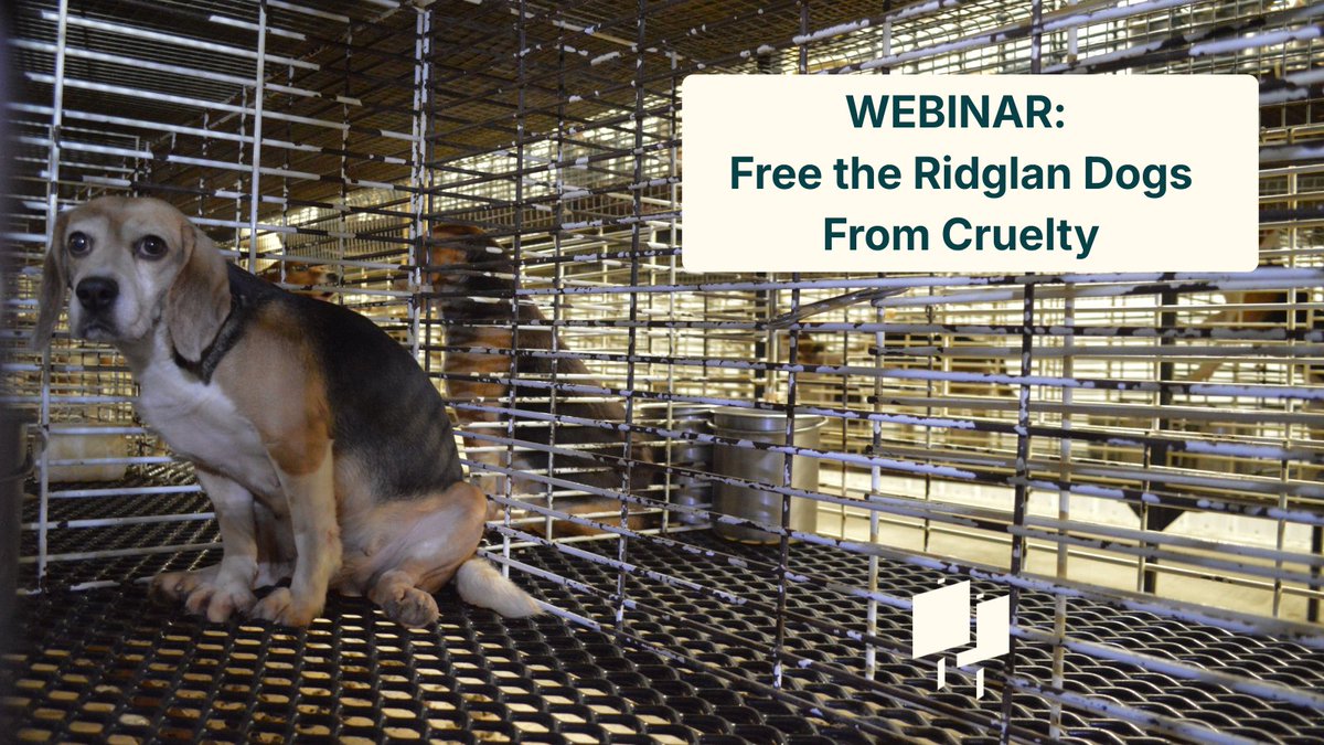 Animal Activist Legal Defense Project tweet media