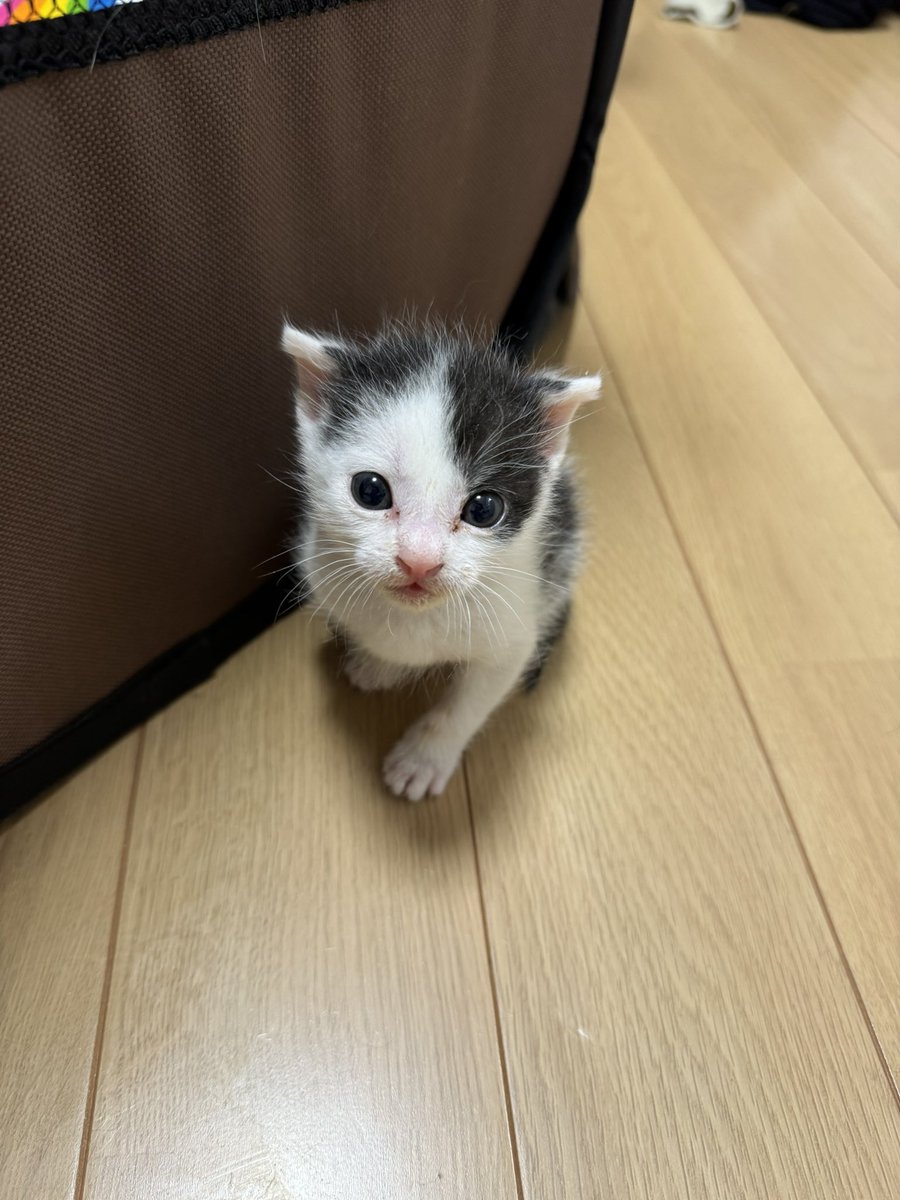 ちゃむママ (@mirei5799) / Posts / X