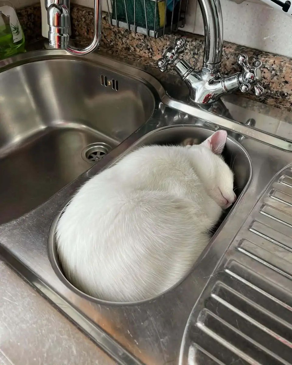 That spot is meant for him