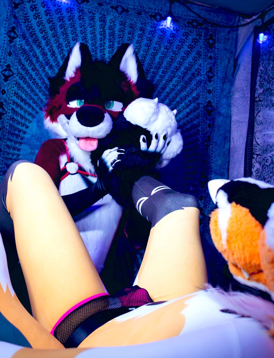 Yaboitavi's tweet image. In my happy place~

📷:@HashHyena 
🐾:@VXNRGY