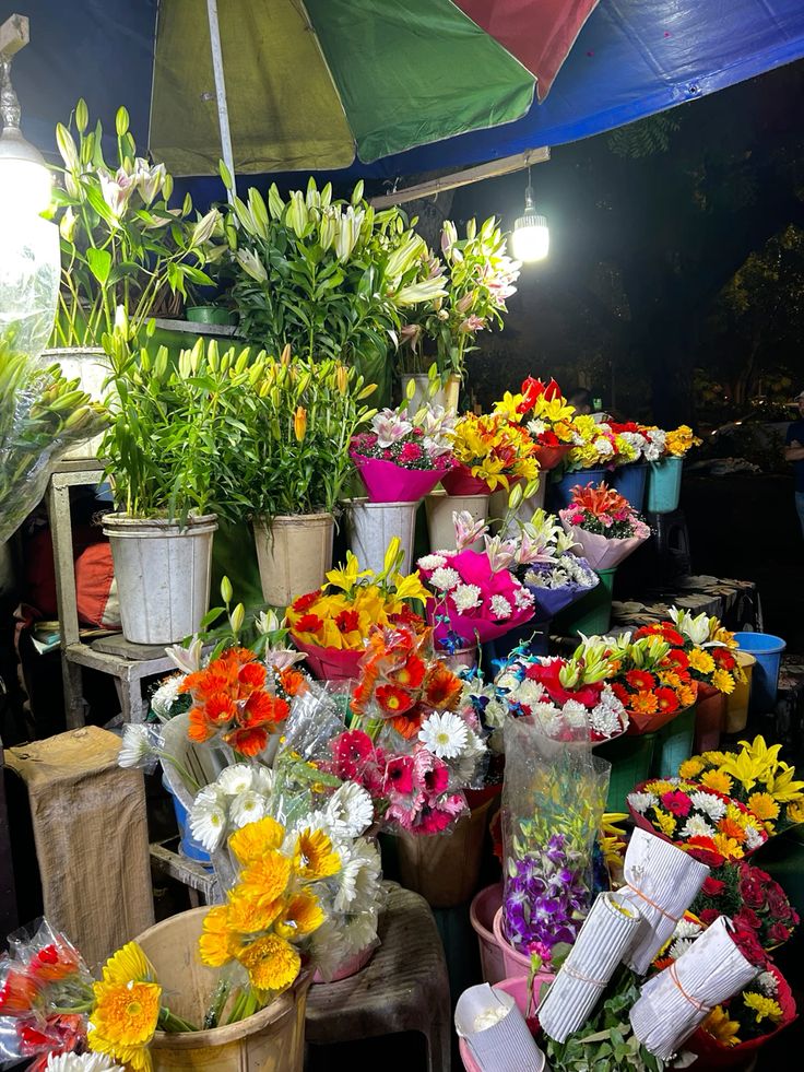 𝓣𝓱𝓮𝓑𝓵𝓸𝓼𝓼𝓸𝓶𝓢𝓽𝓾𝓭𝓲𝓸 (@phollukidukaan) on Twitter photo 