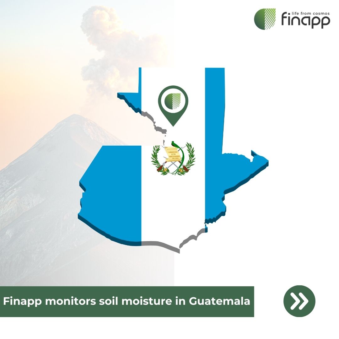 Finapp tweet media
