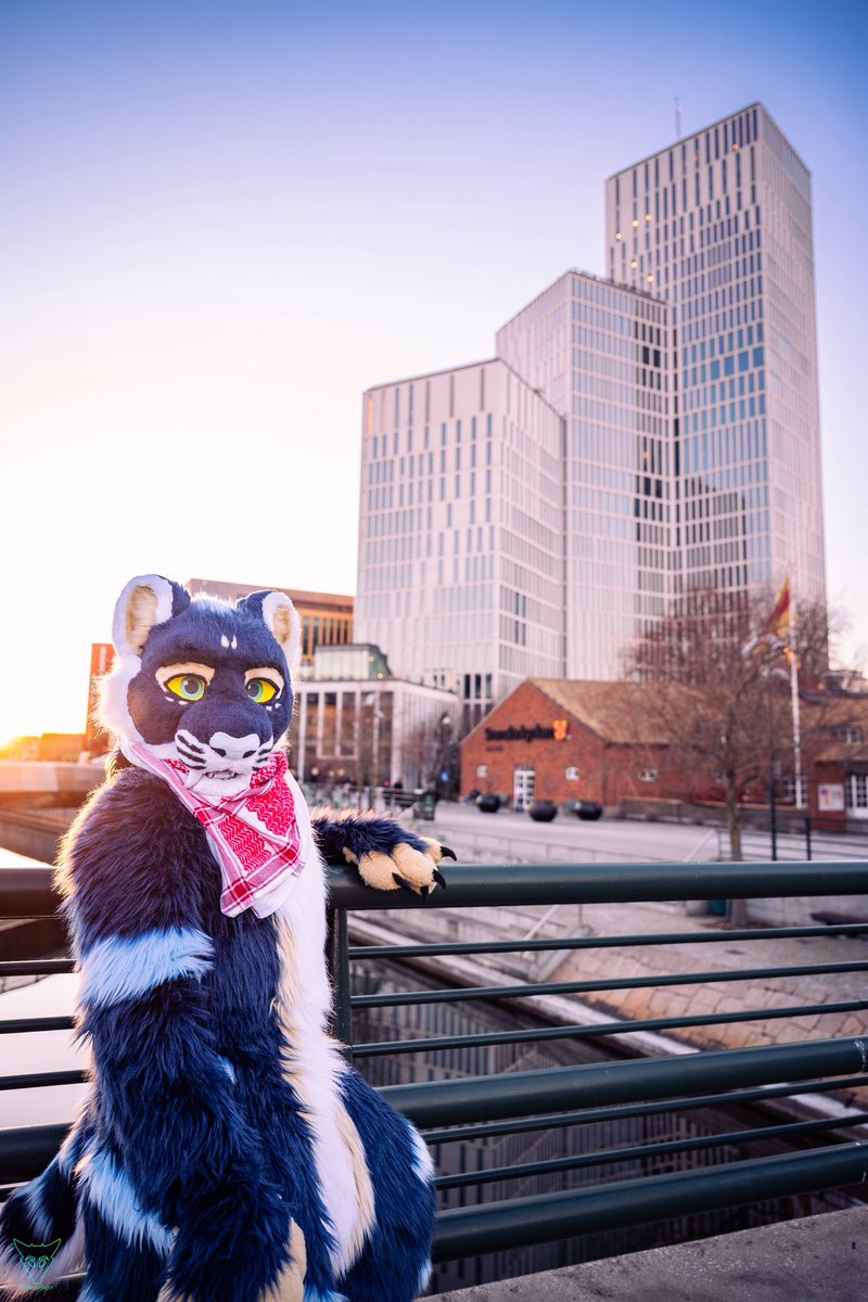 Cosmyd 🔜 NFC tweet media