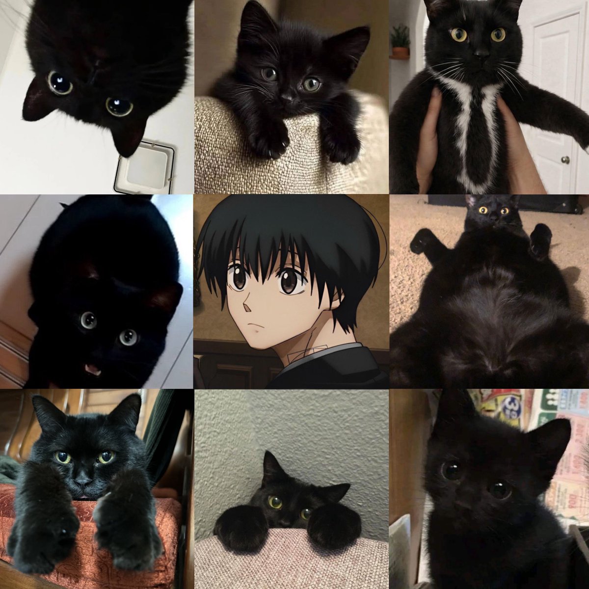 nagumo variants 🐈‍⬛