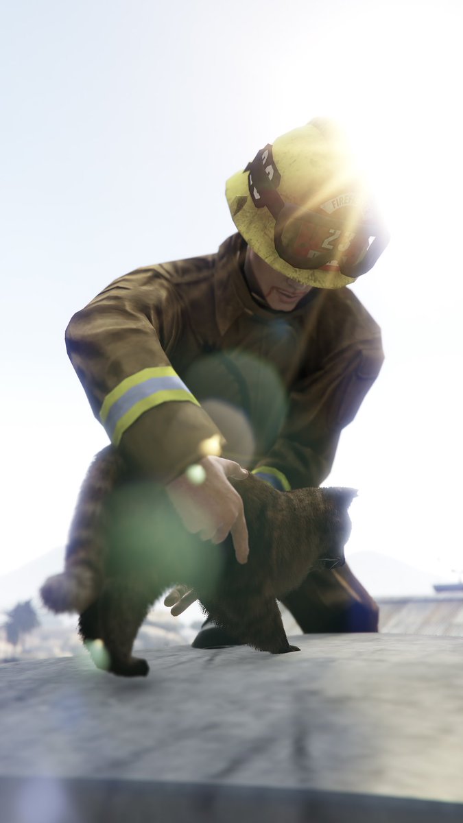 XermZander tweet media