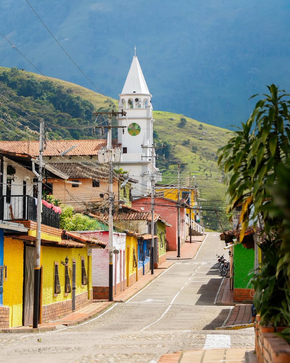 Venezuelensis Andium Venustas Aesthetics tweet media