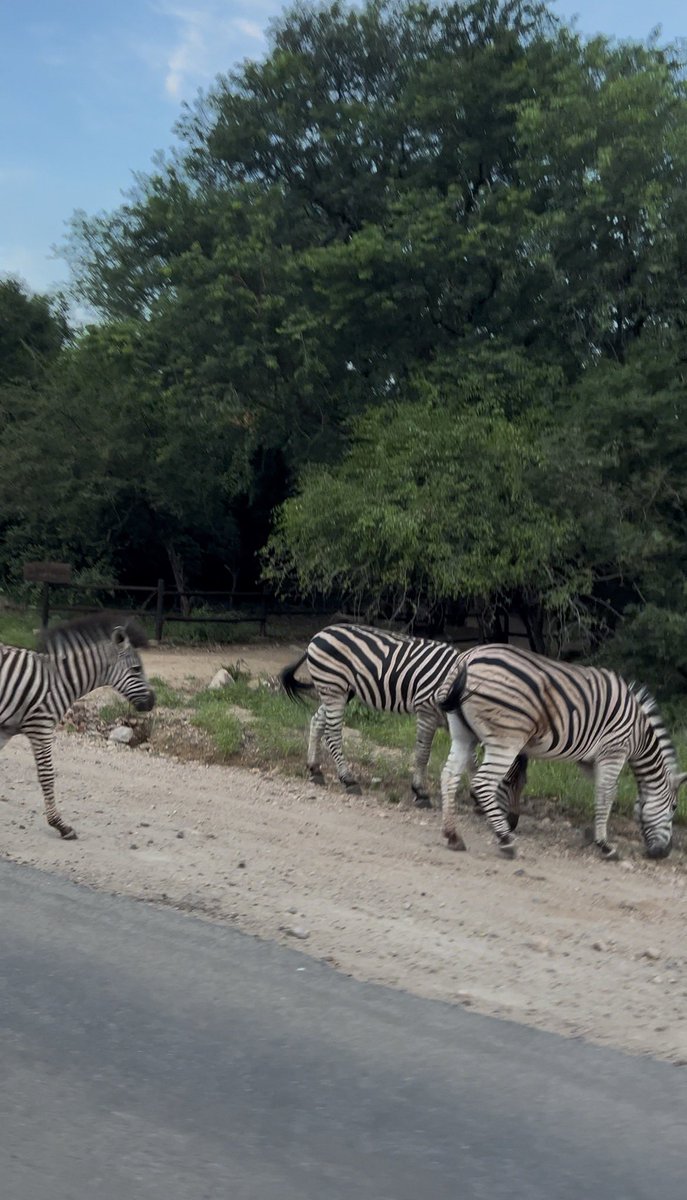 A Bush Getaway With My Loves. ❤️