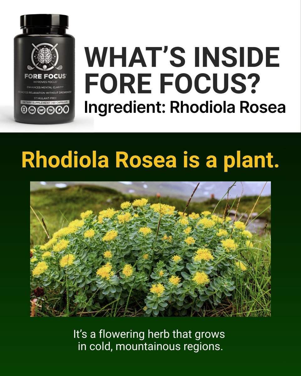 GetForeFocus tweet media